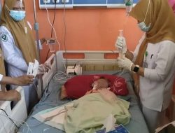 Pemerintah gerak cepat tangani kasus balita cacingan di Bengkulu