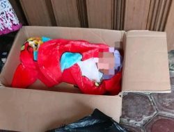 Warga Bengkulu Temukan Bayi Perempuan dalam Kardus